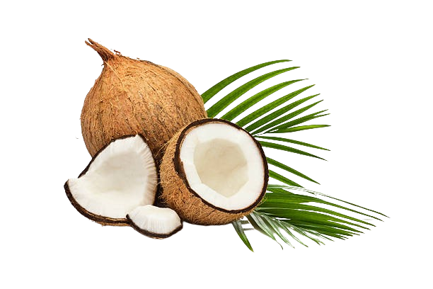 มะพร้าวประจวบฯ